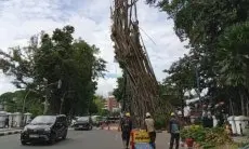 Membahayakan Pengguna Jalan, Pohon Besar Depan Balai Kota Bogor Dipangkas