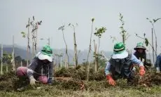 Investasi Eiger Adventure Land Dorong Ekonomi Hijau di Kawasan Puncak
