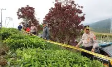 Polisi Melakukan Olah  TKP Pengrusakan Lahan Teh PTPN I Regional II di Pangalengan