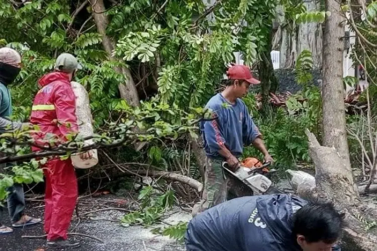 BMKG Imbau Warga Kota Bandung Waspadai Cuaca Ekstrem