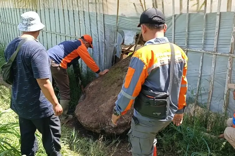 Batu Besar Timpa Green House di Lembang, BPBD KBB Pastikan Bukan akibat Sesar Lembang