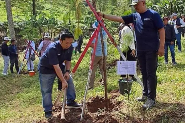 Reboisasi di Puncak, Pemkab Bogor Libatkan Warga Sipil
