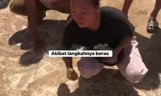 Bantuan Dijatuhkan dari Udara Rusak Parah, Warga Desa Manalu Terpaksa Pungut Beras dari Tanah