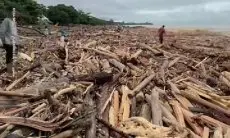 Jejak Kayu Gelondongan di Tengah Banjir Sumatera, Bareskrim Fokus Ungkap Dugaan Pembalakan Liar