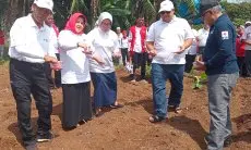PMI Tajurhalang jadi Percontohan Program Ketahanan Pangan, Indra Fernanto : Bakal Dilaksanakan di 40 Kecamatan