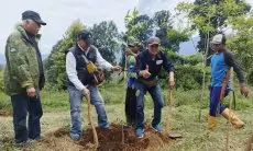 SOMASI dan PWI Kab Bandung  Gelar Penanaman Pohon di Gambung sebagai Langkah Kolaborasi untuk Selamatkan Lingkungan