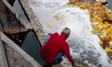 Viral Tanggul Muara Baru Bocor, Warga Cemas Jelang Puncak Banjir Rob