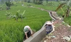 Heri Gunawan Sejahterakan Petani di Pamijahan Lewat Pembangunan Irigasi 