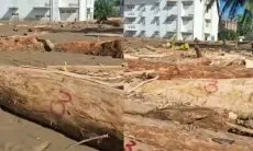 Deforestasi Picu Banjir Bandang di Sumatera, Akademisi ITB Minta Penguatan Tata Ruang
