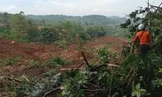Tim SAR Gabungan Fokus Cari Tiga Warga Tertimbun Longsor di Arjasari