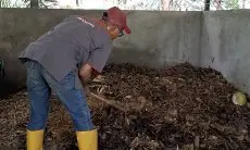 Keren... Balai Kota Bandung Manfaatkan Sampah Organik Jadi Kompos dan Pakan Ternak