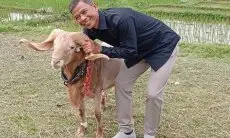 DKPP Segera Lakukan Pendataan Peternak Domba dan Kambing Kota Bogor