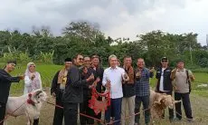 Wali Kota Bogor Usulkan Mulyaharja jadi Tempat Pamindangan Domba Garut