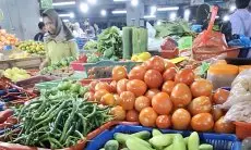 Harga Cabai Tembus Rp 90 Ribu, Pemkot Bandung Dorong Panen Mandiri Warga