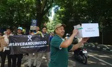 Pengorbanan Para Perawat Satwa Bandung Zoo di Tengah Krisis Operasional