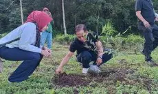 Menteri LH Tanam Ribuan Pohon di hulu DAS Ciliwung