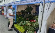 Di Agro Expo 2025, Bandung Barat Ekspor Tanaman Hias Senilai Rp1,5 Miliar