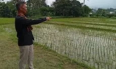 DKPP Lakukan Pendataan Ulang LP2B, Ada Penambahan Lahan 40 Hektare