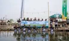 Dukung Ekosistem Pesisir, bank bjb Tanam 10.000 Mangrove Bersama Masyarakat Subang