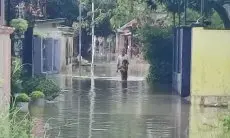 Banjir Terus Mengintai, 10 Kecamatan di Kabupaten Cirebon Ikut Terdampak