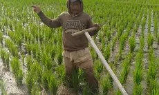 Petani di Kabupaten Bandung Belum Rasakan Kebijakan Turunnya Harga Pupuk Bersubsidi
