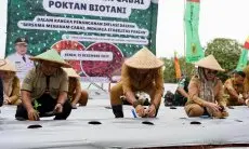 Kendalikan Harga, Pemkab Bogor Ajak Poktan Tanam Bersama Cabai
