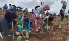 Ribuan Orang Beragam Komunitas di Pangalengan Terlibat dalam Aksi Penanaman Kembali di Lahan PTPN