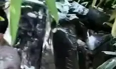 Viral! Mobil Avanza Veloz Terjun ke Jurang 30 Meter di Trenggalek
