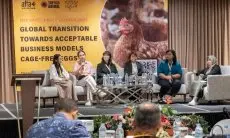 Organisasi Non Profit Global,   Pemerintah, Akademisi dan Aktivis Bahas Transisi Model Bisnis Telur Bebas Sangkar di Indonesia, Malaysia, dan Thailand