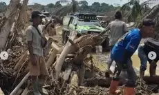 Kayu Gelondongan Sisa Banjir Sumatera Dimanfaatkan Warga, DPR Sebut Tak Bisa Dipakai Sembarangan