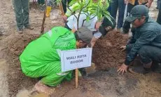 Pemkot Bogor Wajibkan ASN dan Pelajar Tanam Pohon