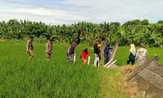 Dari TPA Terbengkalai, Pemkot Cimahi Amankan 11 Hektare eks Leuwigajah untuk Konservasi