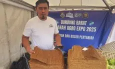 Tembakau Bandung Barat, Potensi Raya yang Terkurung di Rantai Pasar dan Cukai yang Tak Terfasilitasi 