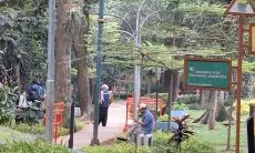 Inovasi DPKP Kota Bandung KTP Pohon Libatkan Warga dalam Pemeliharaan Pohon