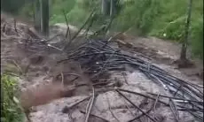 BNPB Pastikan Tidak Ada Korban Jiwa Banjir Bandang Guci, Kawasan Wisata Ditutup Sementara