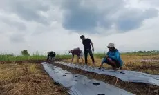 Warga Japura Kidul Cirebon Desak Audit Dana Desa