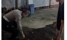 Aksi Humanis Polisi di Bandung Selamatkan Kucing Terluka Tuai Apresiasi Warganet