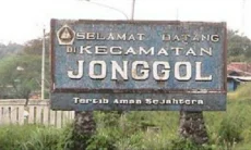 Jonggol dalam Sejarah Kabupaten Bogor Timur, Jalur Penting Sejak Masa Kawedanan