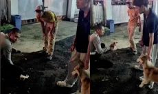 Viral Anjing Husky Serang Kucing Pedagang Kopi di Asia Afrika, Warganet Justru Salfok ke Hal Ini