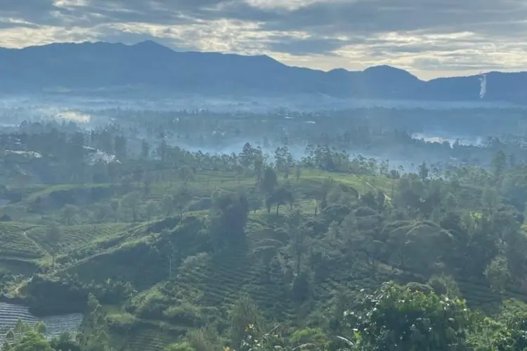 Pangalengan van Sumatera