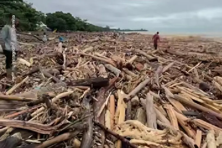 Jejak Kayu Gelondongan di Tengah Banjir Sumatera, Bareskrim Fokus Ungkap Dugaan Pembalakan Liar
