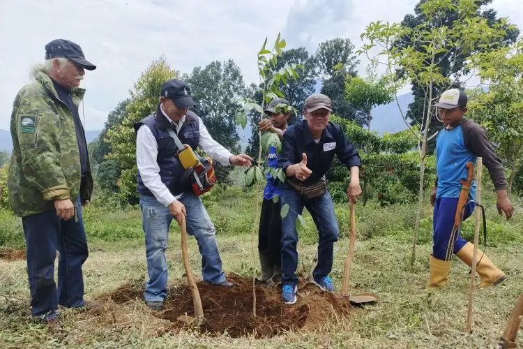 SOMASI dan PWI Kab Bandung  Gelar Penanaman Pohon di Gambung sebagai Langkah Kolaborasi untuk Selamatkan Lingkungan