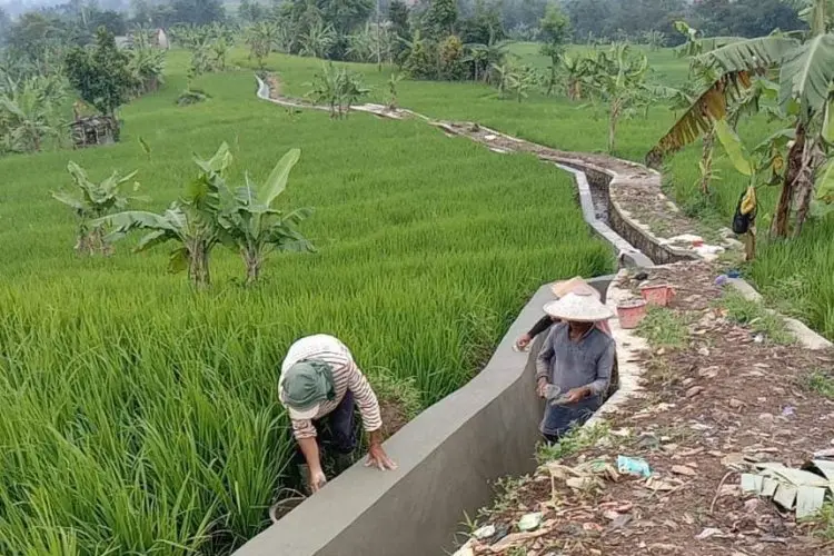 Heri Gunawan Sejahterakan Petani di Pamijahan Lewat Pembangunan Irigasi 