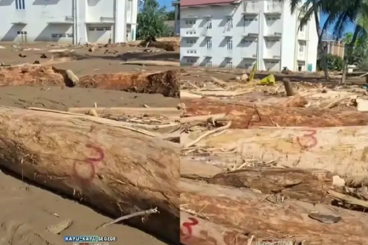 Deforestasi Picu Banjir Bandang di Sumatera, Akademisi ITB Minta Penguatan Tata Ruang