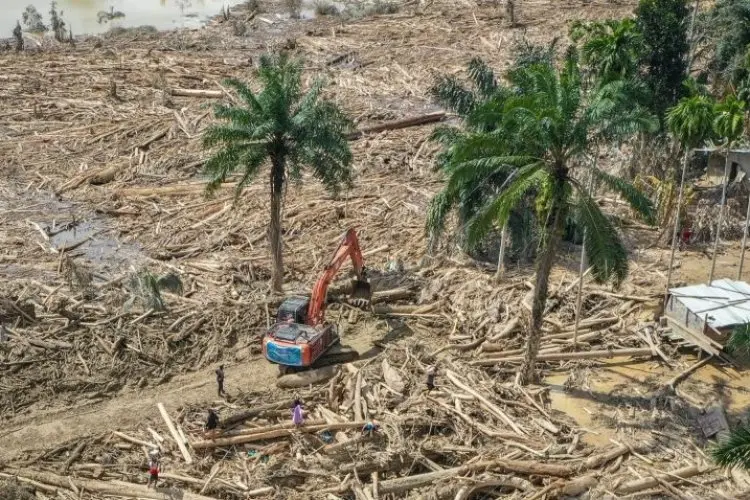Kayu Gelondongan Berserakan, Bareskrim Polri Selidiki Dugaan Penebangan Ilegal di Sungai Tamiang Aceh