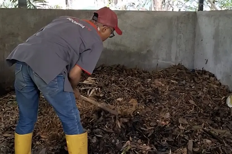 Keren... Balai Kota Bandung Manfaatkan Sampah Organik Jadi Kompos dan Pakan Ternak