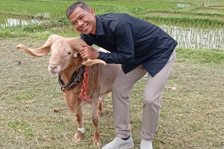 DKPP Segera Lakukan Pendataan Peternak Domba dan Kambing Kota Bogor