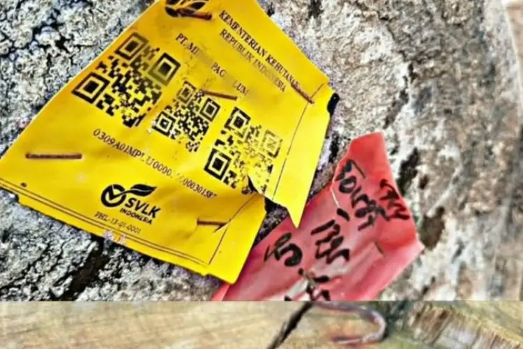 Viral Kayu Gelondongan Berbarcode, Polda Lampung Justru Hentikan Kasusnya