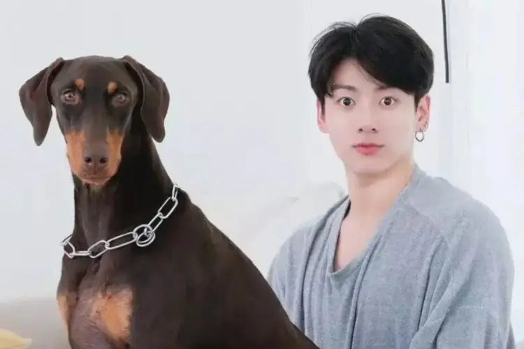 Di Tengah Rumor Kencan dengan Winter aespa, Jungkook BTS Dituduh Menelantarkan Anjingnya Bam