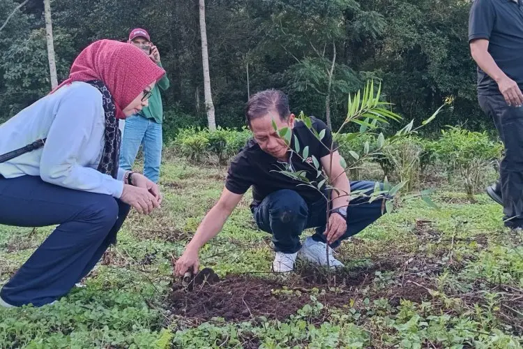 Menteri LH Tanam Ribuan Pohon di hulu DAS Ciliwung